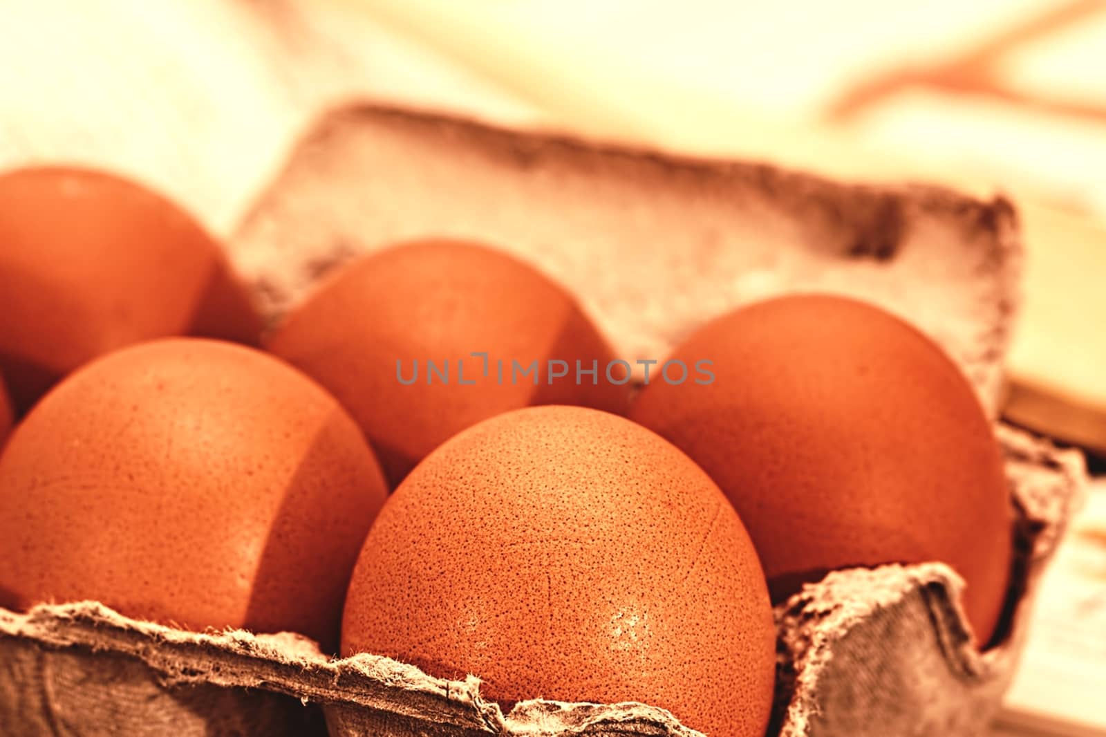 Five eggs in the egg box. High quality photo