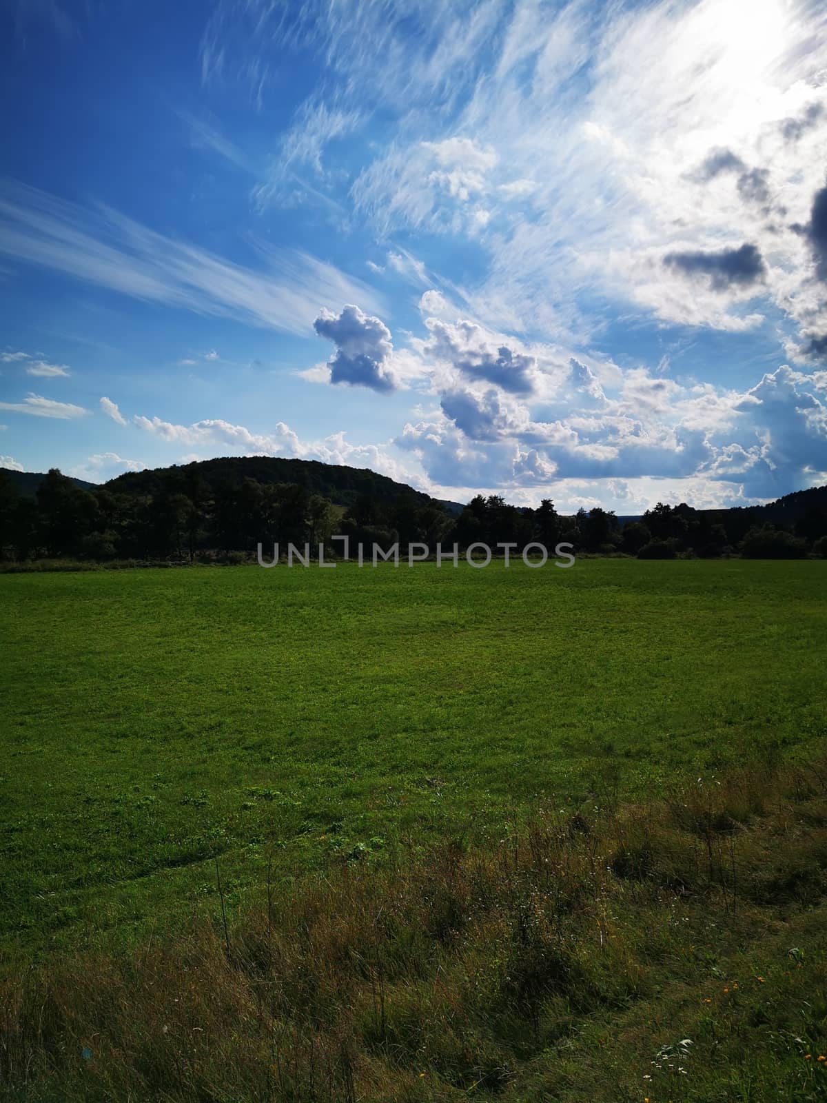A large green field with trees in the background by balage941