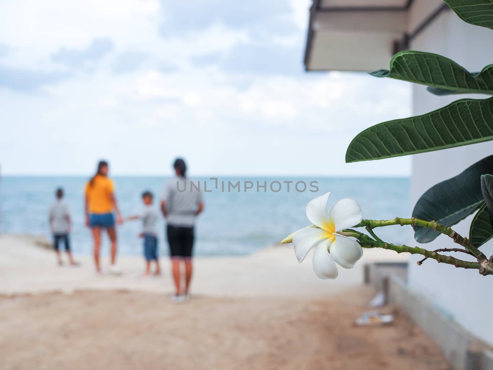 White flowers on the background of the sea and people