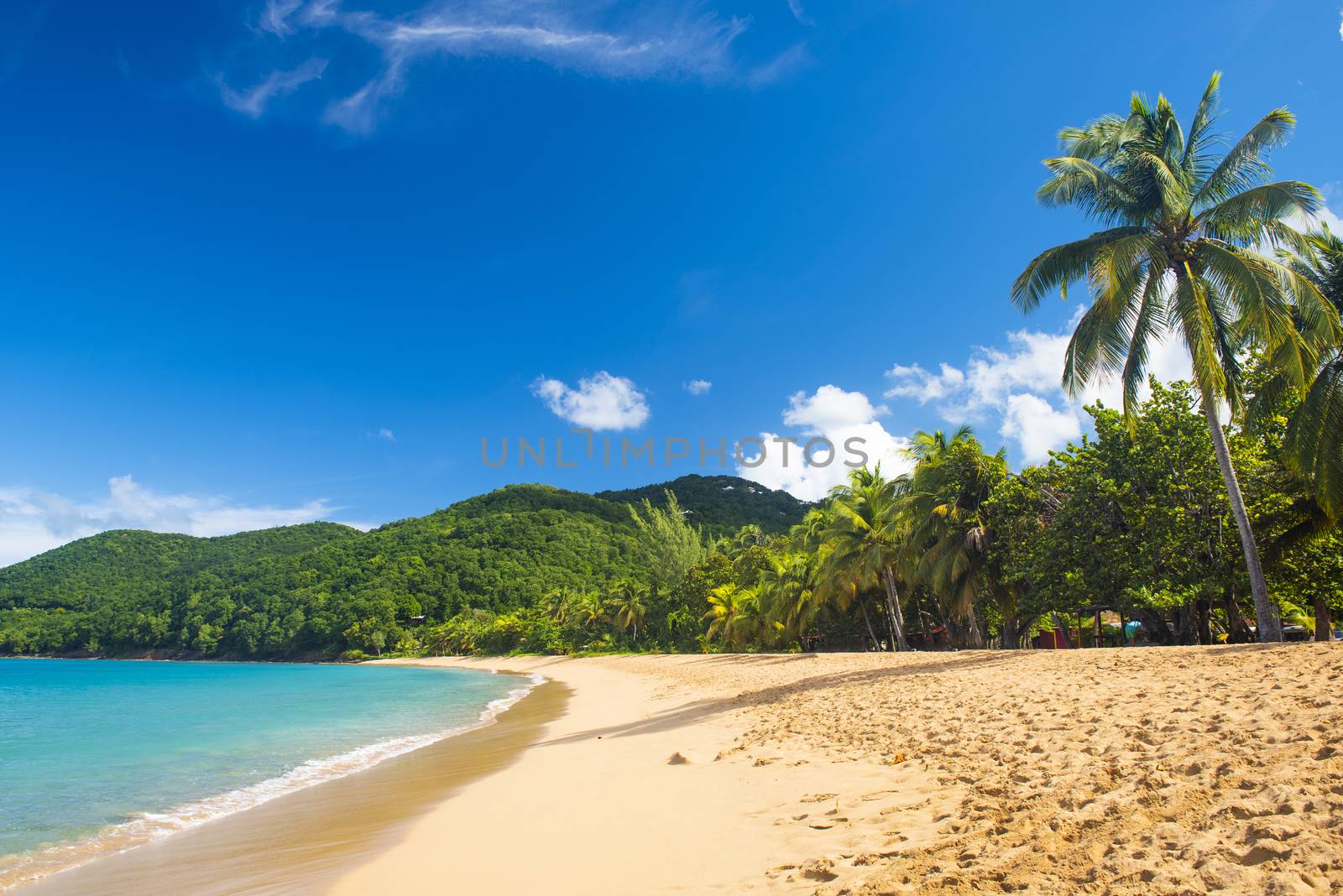 Great beach of Grand Anse near village of Deshaies, Guadeloupe, Caribbean