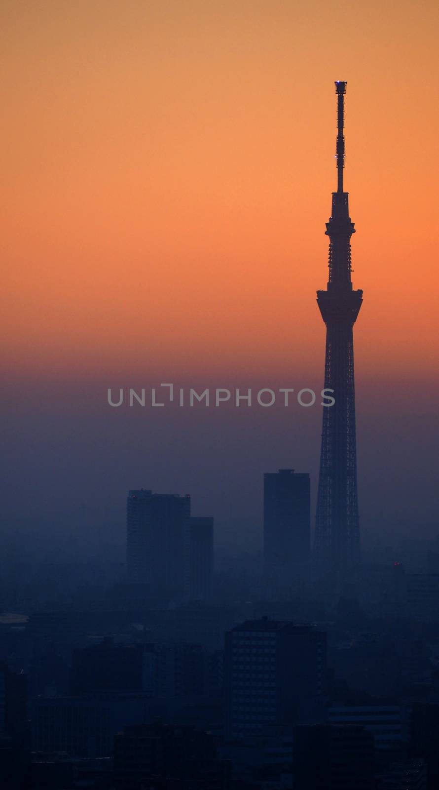 Silhouette of Tokyo sky tree building and landscape city in evening sunset.