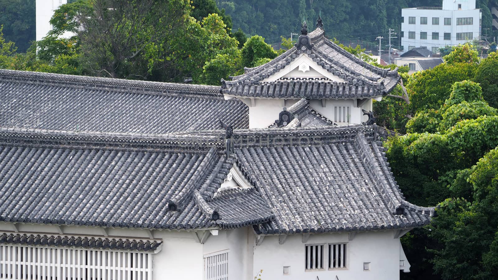 Himeji castle World heritage of Japan. by gnepphoto