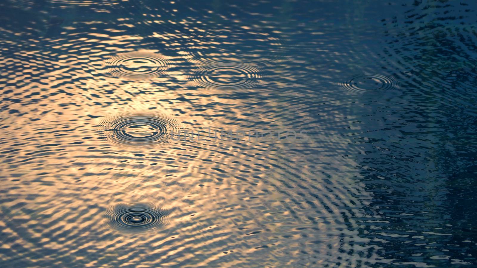 Rain drop on the surface of swiming pool. by gnepphoto