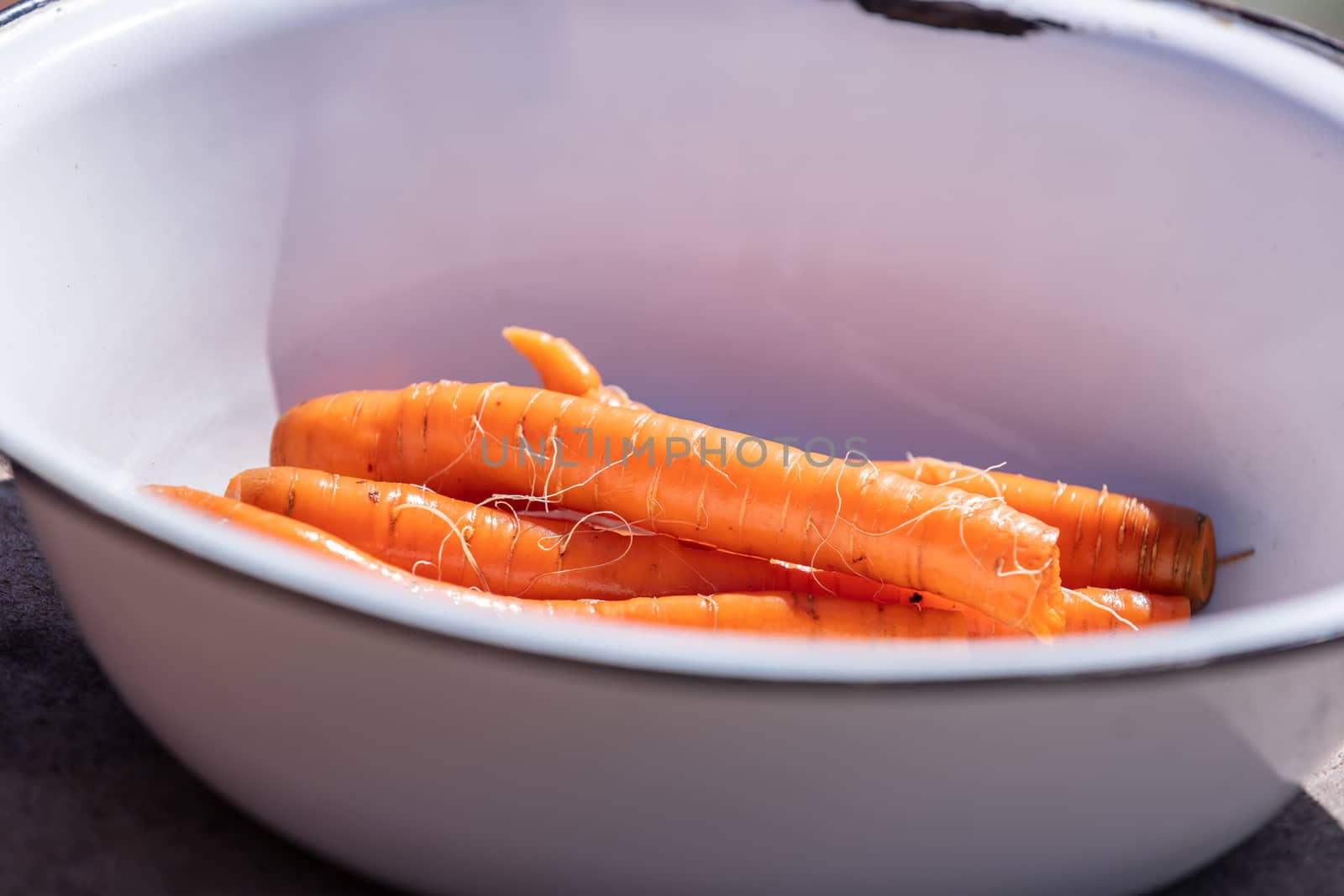 A close up shot of a bunch of clean and washed carrots in a metal bowl. Agriculture and farming concept. Blurred background, copy space.