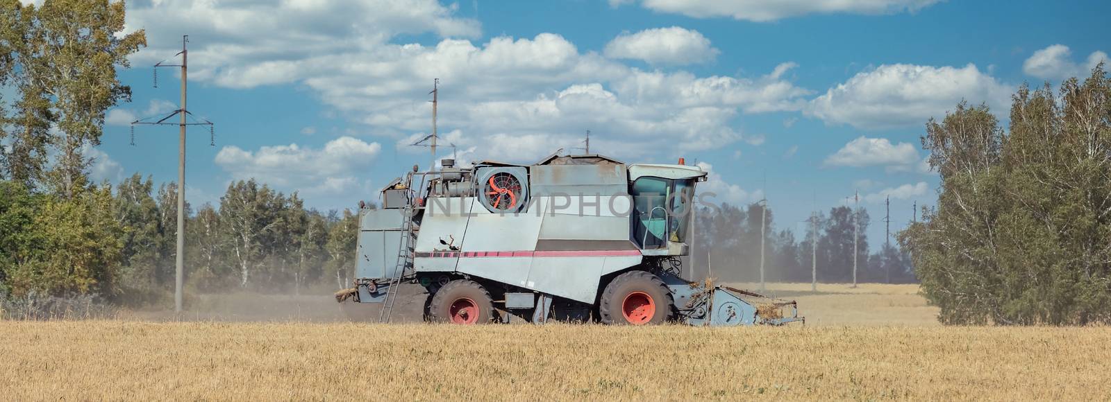 View of harvester cutting wheat, collecting grain by DamantisZ