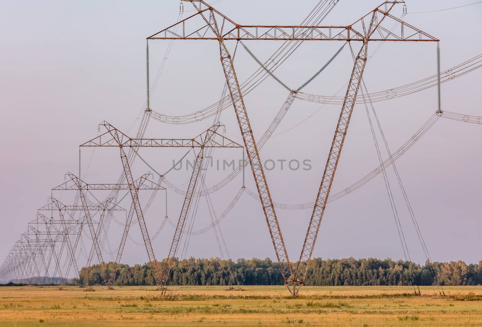 Perspective low angle view of high voltage power lines and poles in the countryside.