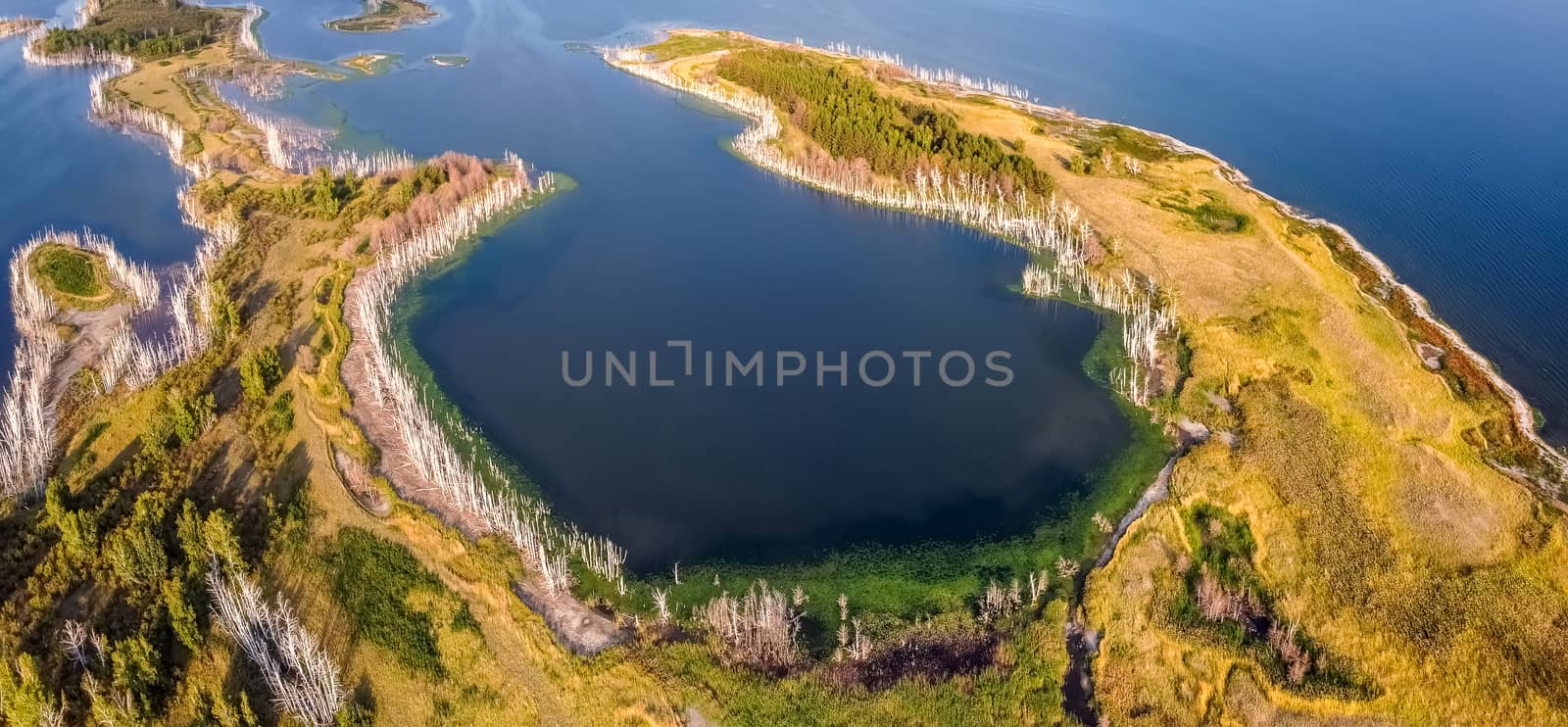 Beautiful panoramic high angle aerial drone shot of a cove on one of Gorkoje lakes in Altai Krai, Siberia, Russia. Amazing landscape.