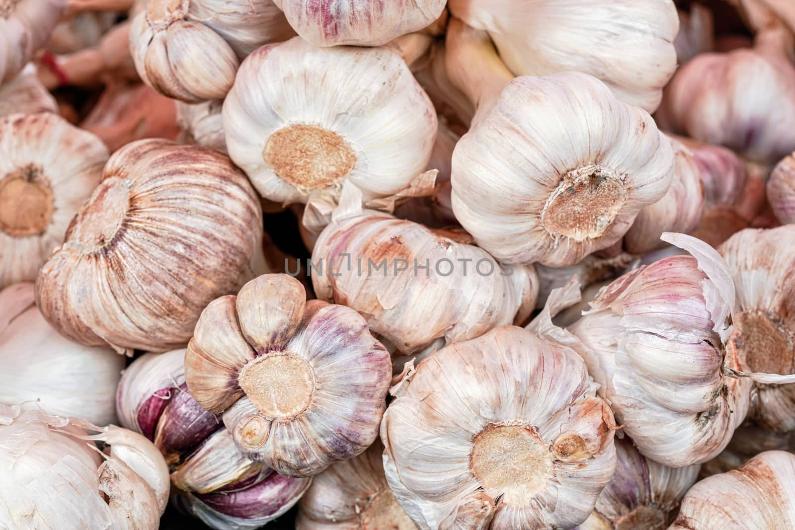 Packs of fresh garlic bulbs with purple stripes on display at local food market, closeup detail by Ivanko