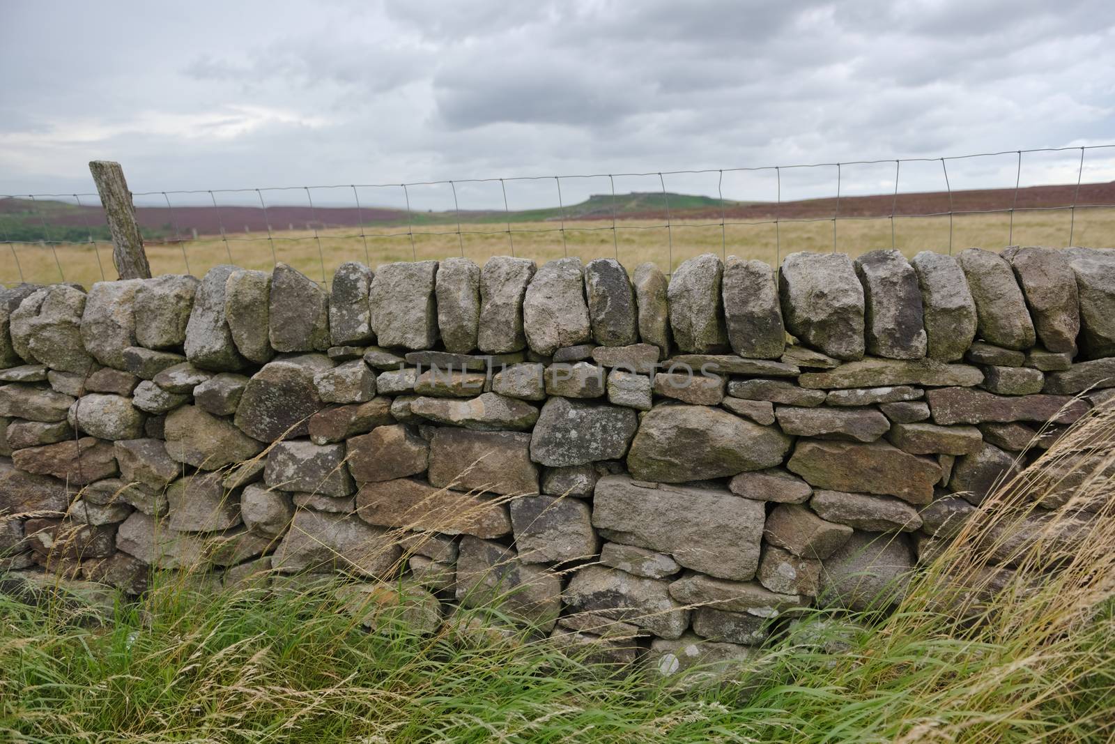 1 - Dry stone wall and wire fence landscape texture. Fields of dry summer grass behind, and the peak of higger tor in the distance.