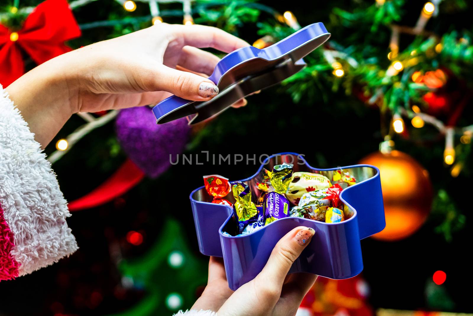 Hands holding box with candies in front of Christmas tree. Unpacking Christmas gifts isolated.