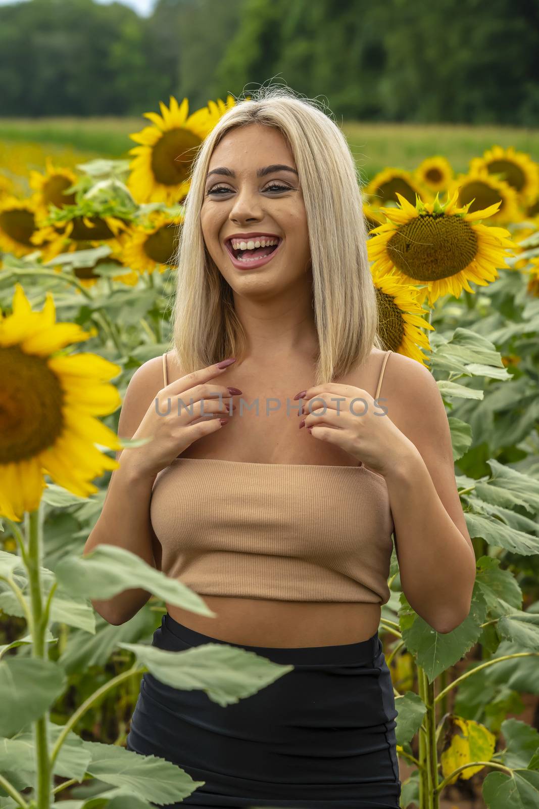 A Young Lovely Blonde Model Poses In A Gorgeous Sunflower Field While Enjoying A Summers Day by actionsports