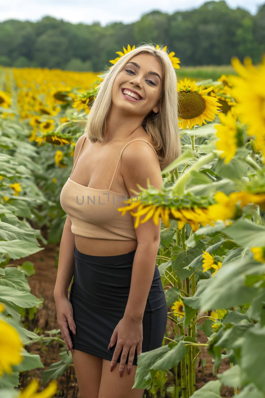 A gorgeous young blonde model poses outdoors in a field of sunflowers while enjoying a summers day