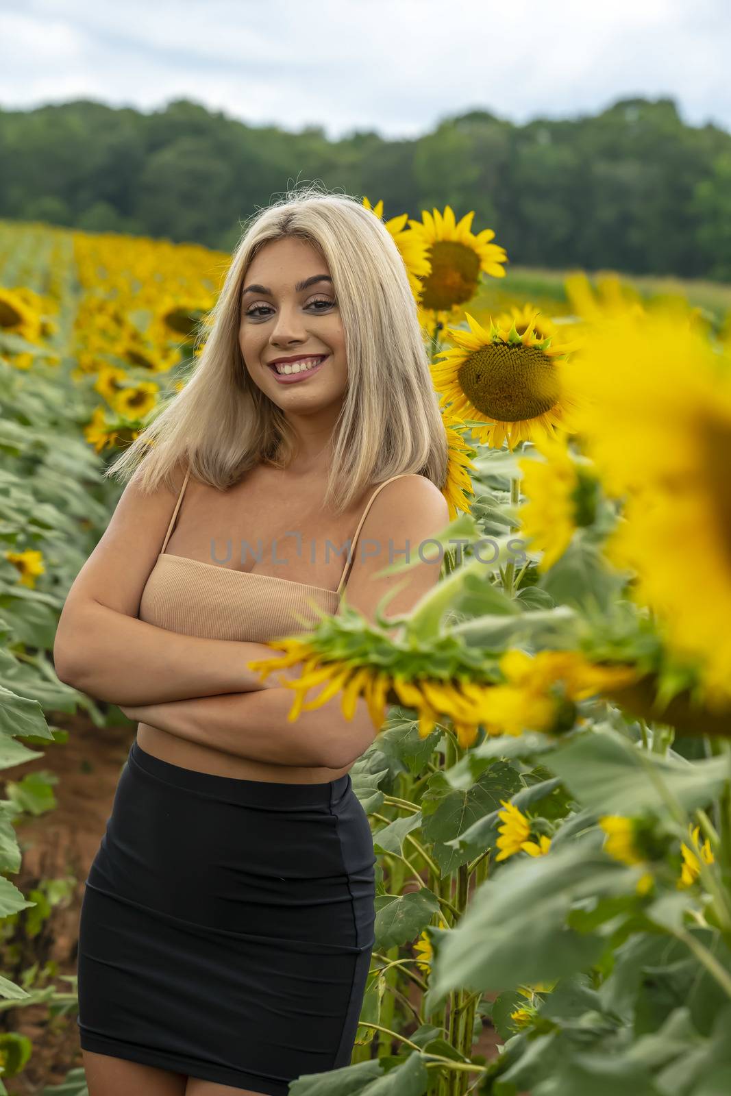 A Young Lovely Blonde Model Poses In A Gorgeous Sunflower Field While Enjoying A Summers Day by actionsports