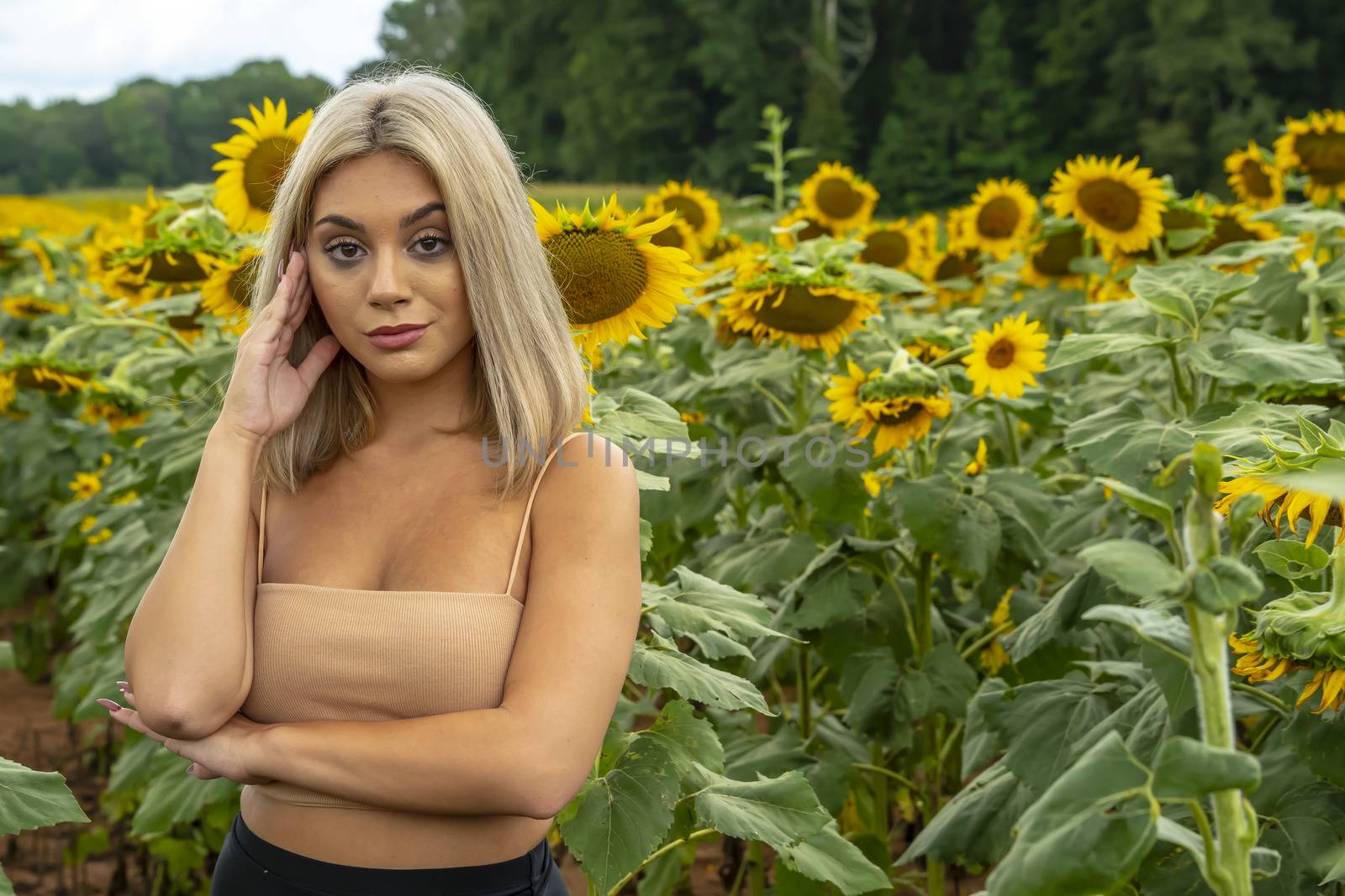 A gorgeous young blonde model poses outdoors in a field of sunflowers while enjoying a summers day