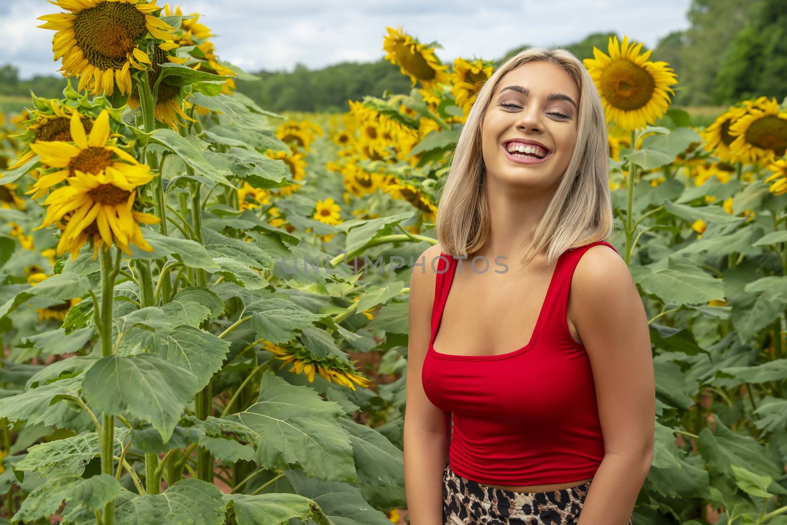 A gorgeous young blonde model poses outdoors in a field of sunflowers while enjoying a summers day