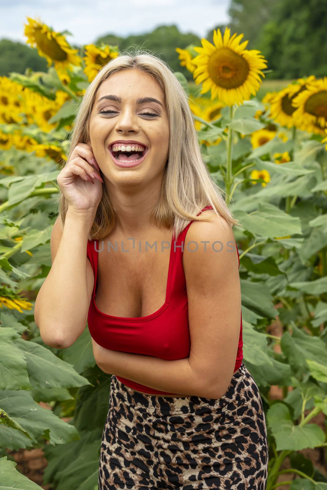 A gorgeous young blonde model poses outdoors in a field of sunflowers while enjoying a summers day