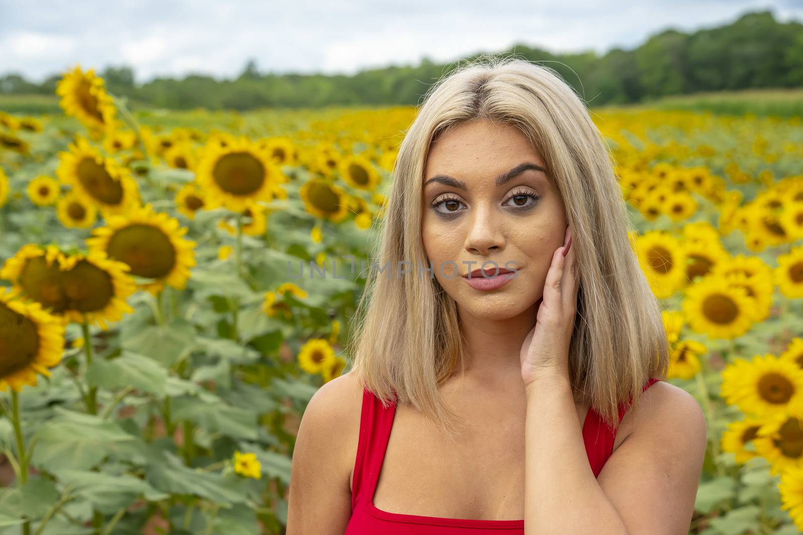 A gorgeous young blonde model poses outdoors in a field of sunflowers while enjoying a summers day