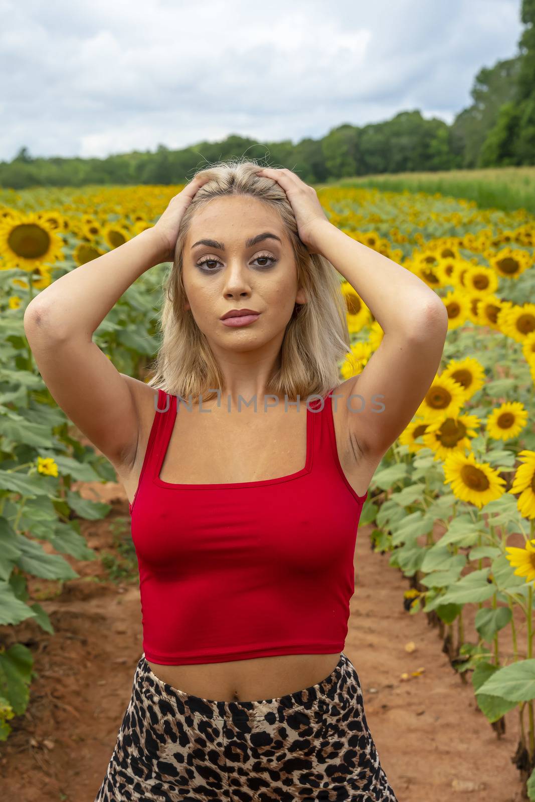 A gorgeous young blonde model poses outdoors in a field of sunflowers while enjoying a summers day