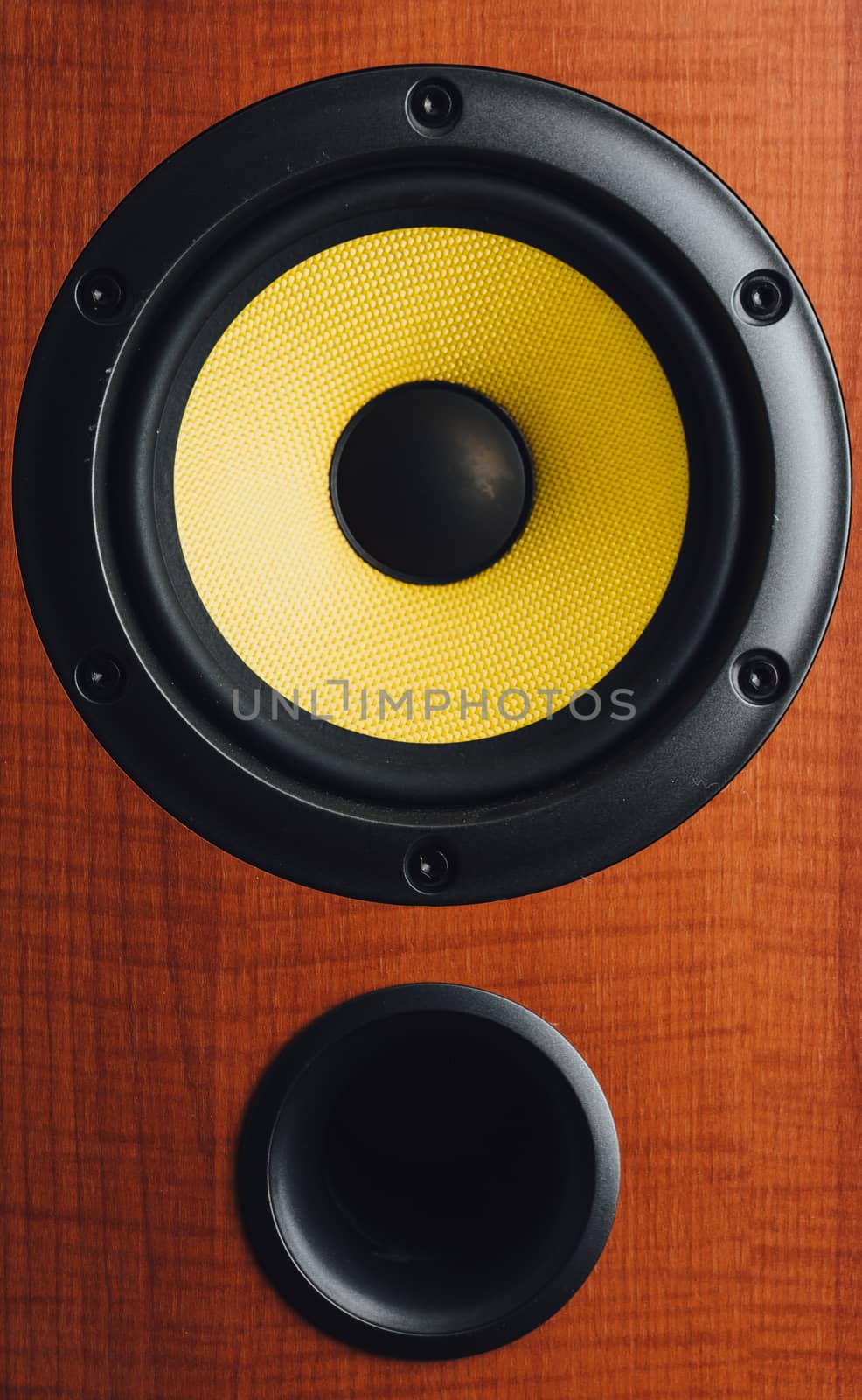 audio speaker, close-up view