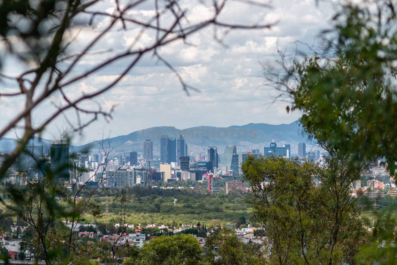 Aerial view of Mexico City, framed by lush trees. forest and city