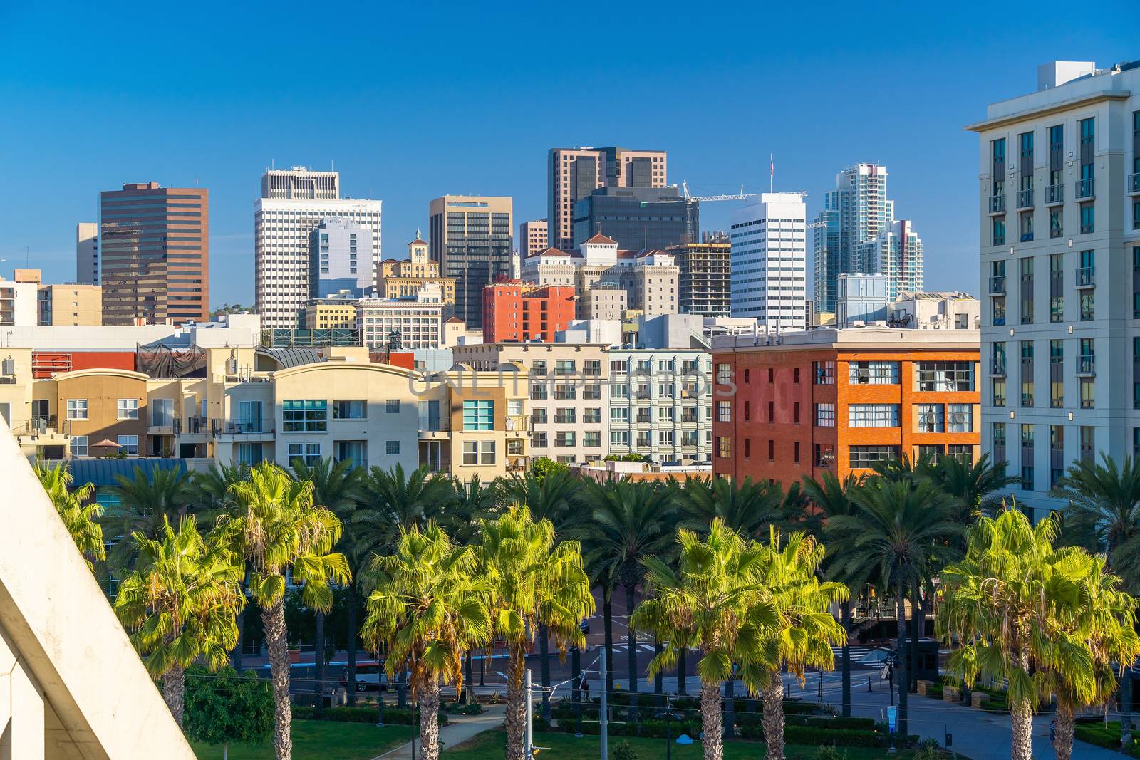 Downtown San Diego skyline in California by f11photo