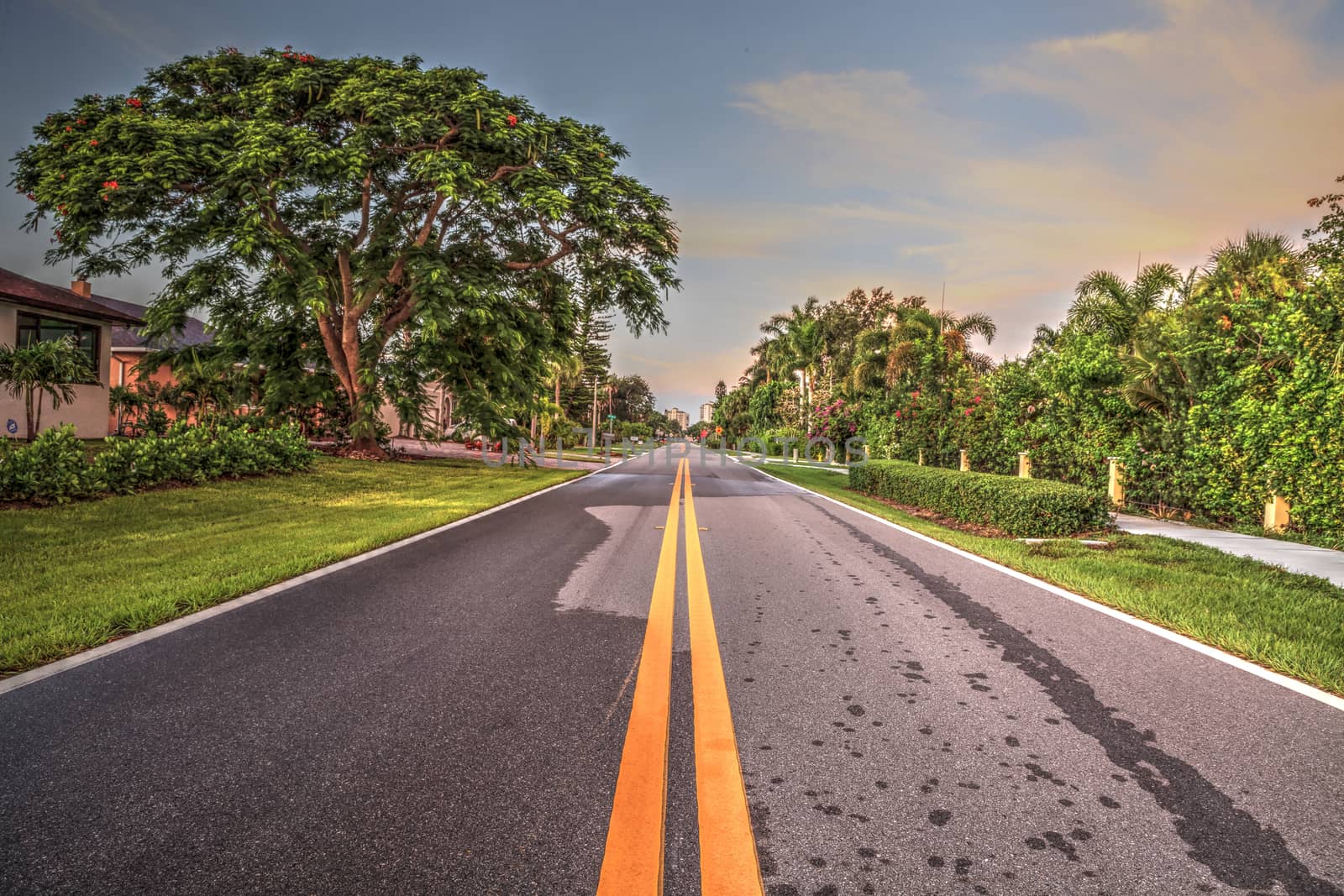 Stretch of road along Vanderbilt Drive in Naples Park by steffstarr