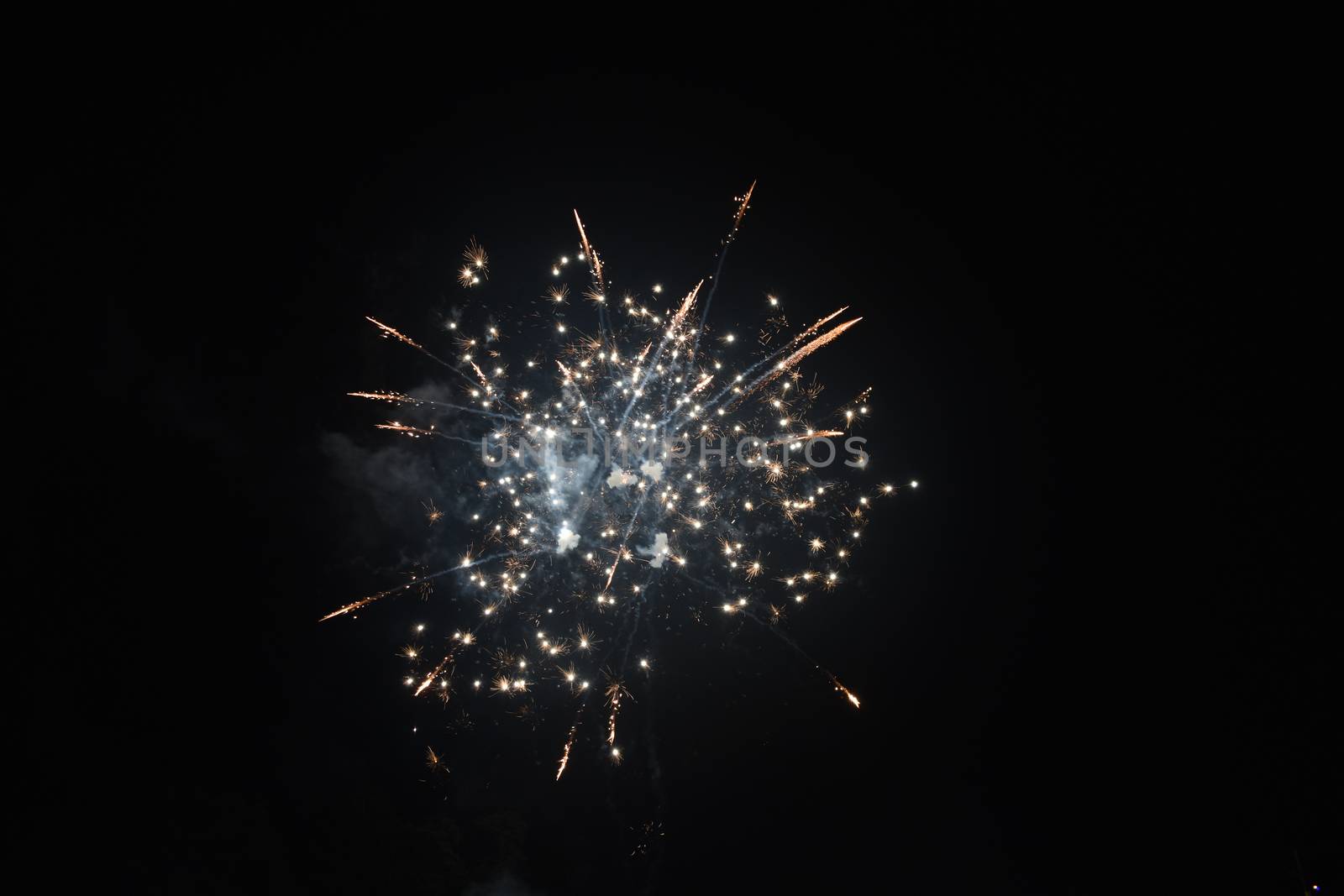 An Explosion of Bright Fireworks on a Pure Black Sky on the Fourth of July