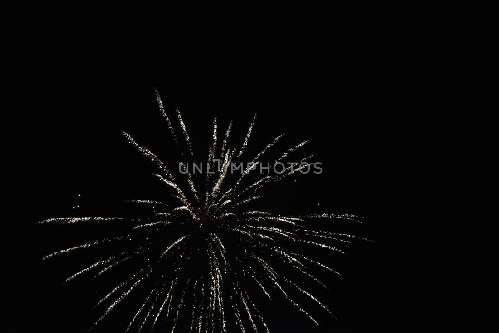 An Explosion of Bright Fireworks on a Pure Black Sky on the Fourth of July