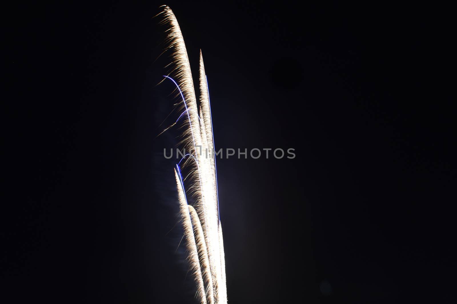 A Streak of Fireworks on a Pure Black Sky on the Fourth of July