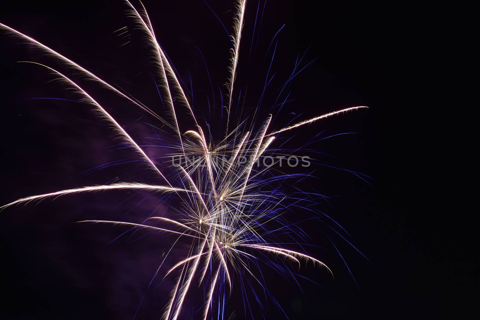 An Explosion of Bright Fireworks on a Pure Black Sky on the Fourth of July