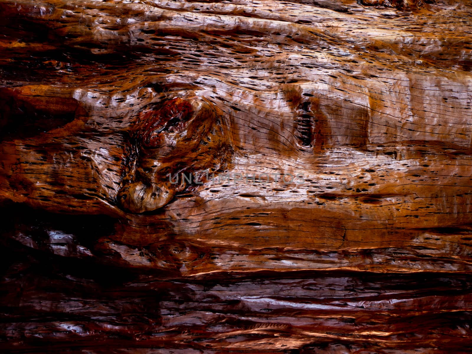 Brown wood texture. Abstract background, empty template by shutterbird