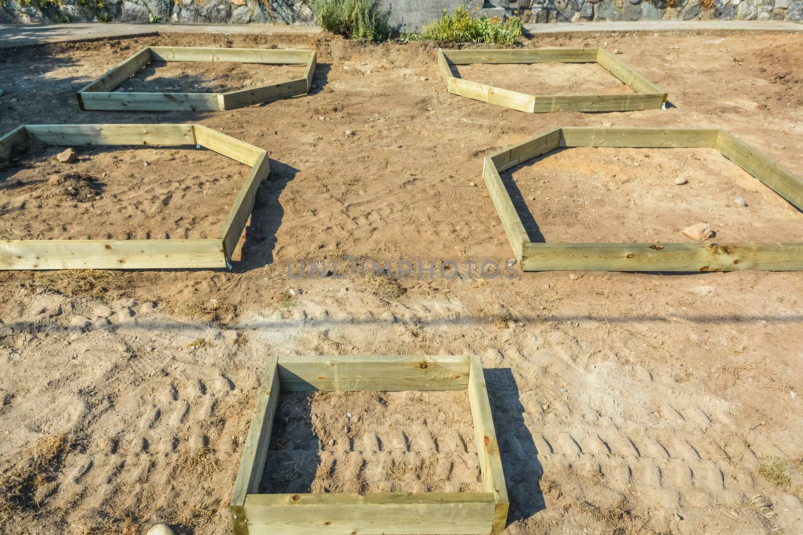 Laying out of garden beds on front yard
