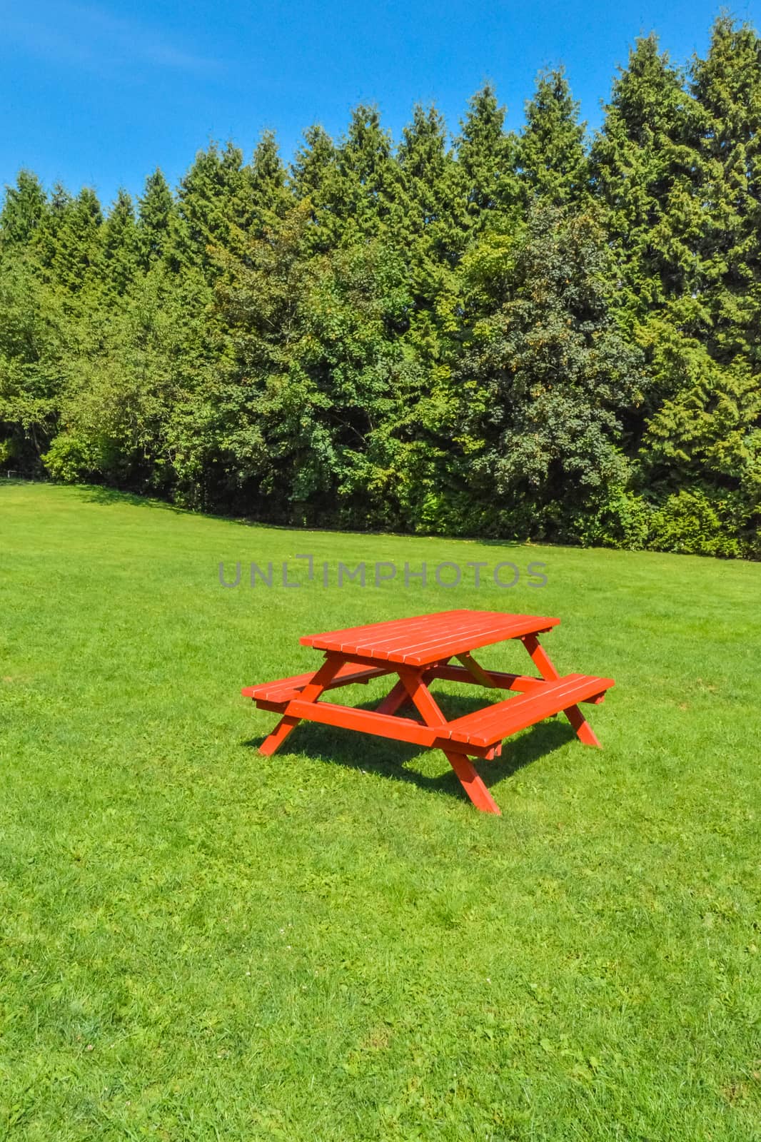 Rest area with red picnic table on green lawn in a park