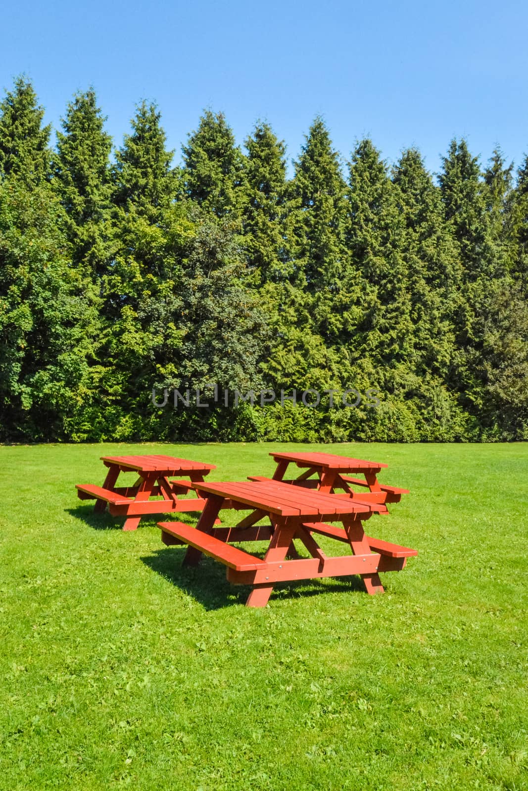 Rest area with red picnic tables on green lawn in a park