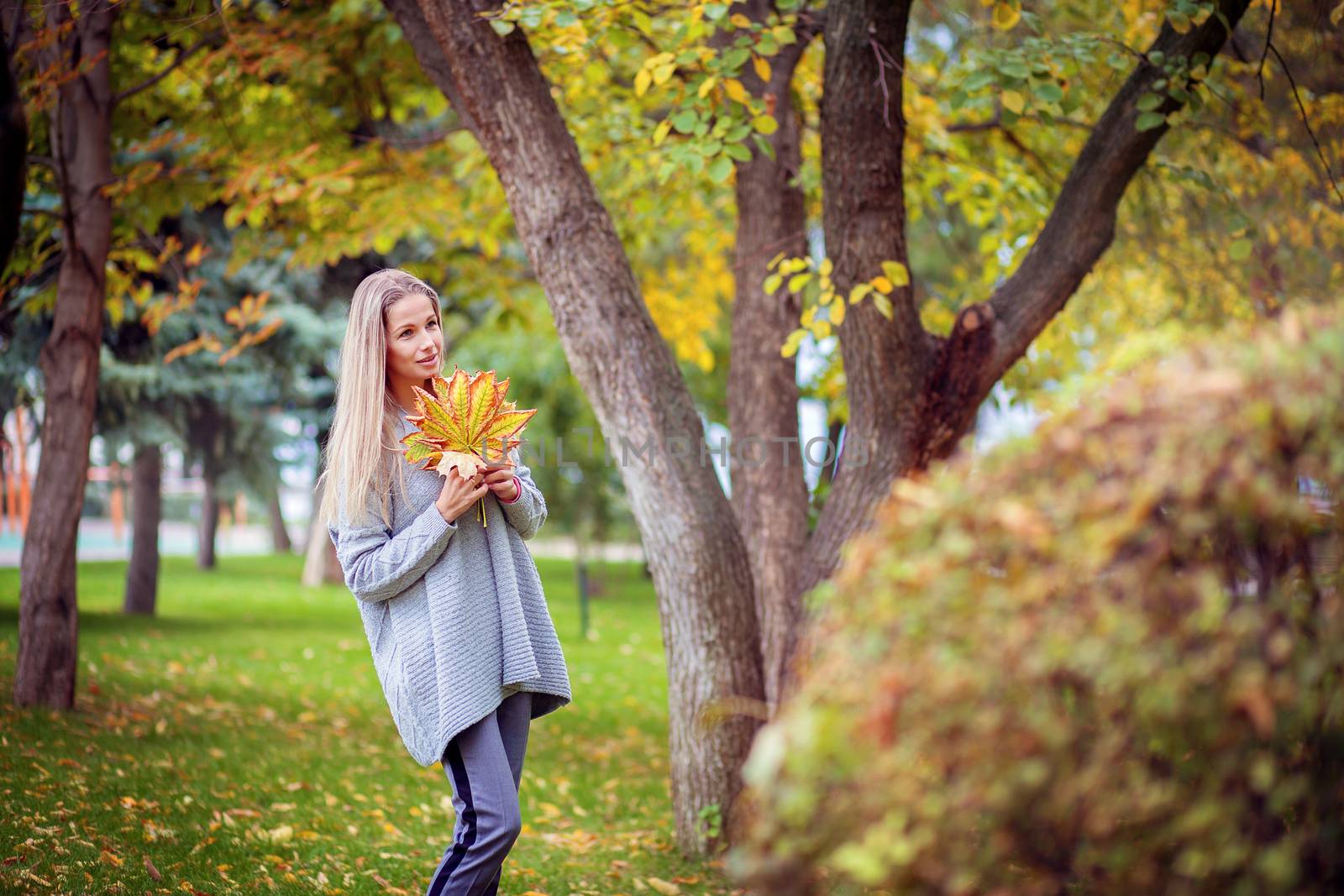 A beautiful girl in a gray cardigan walks through the city park and collects autumn leaves in a bouquet by borisenkoket