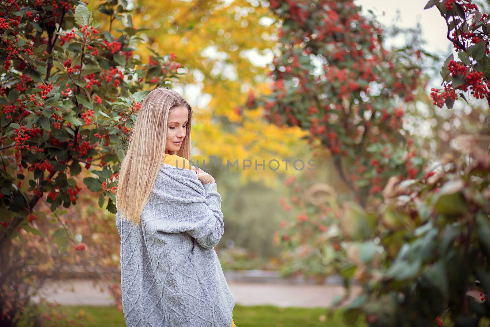 Blonde girl in a gray cardigan and a yellow dress among the autumn trees with red berries. Autumn theme