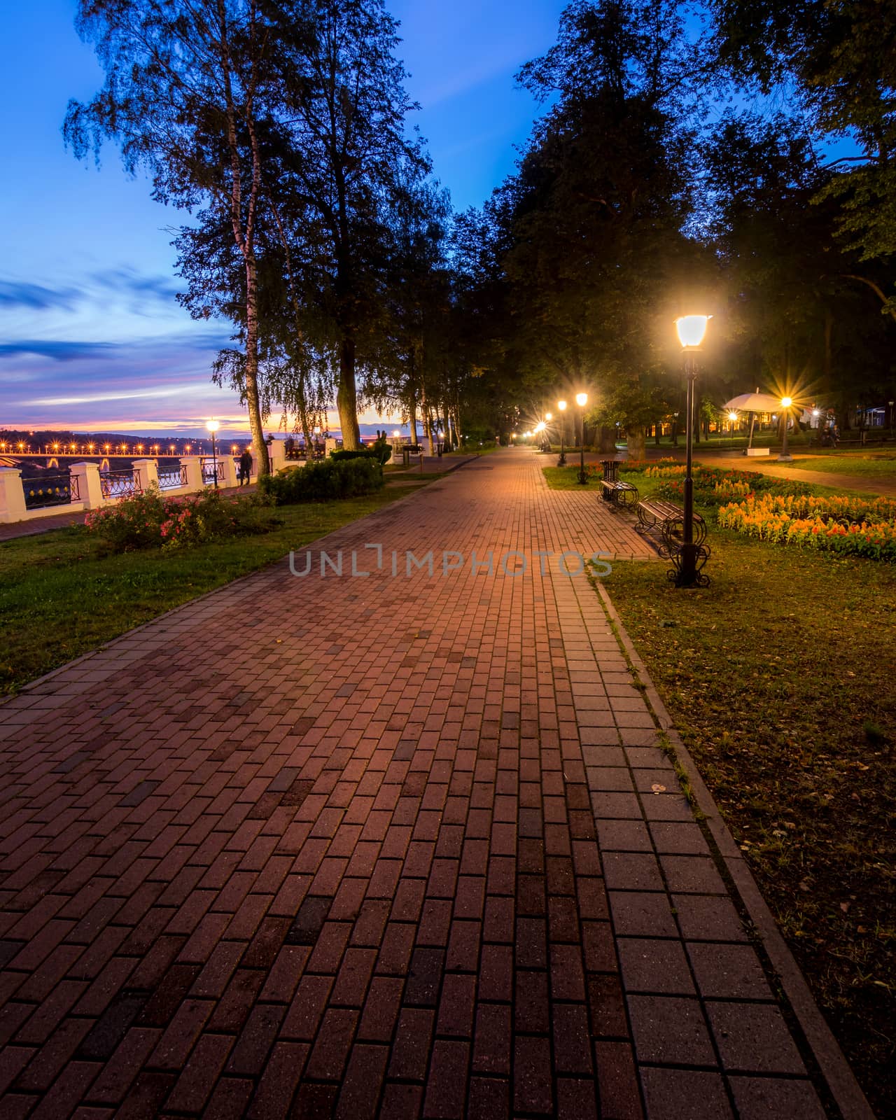 A night park lit by lanterns with a stone pavement, trees, fallen leaves and benches in early autumn. Cityscape.