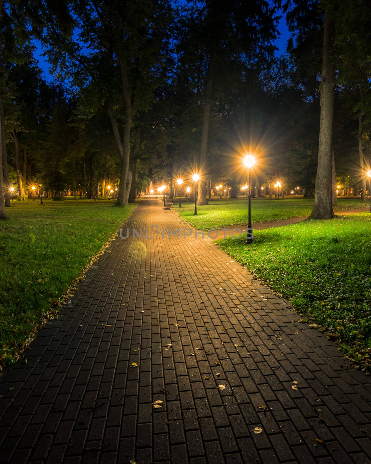 A night park lit by lanterns with a stone pavement, trees, fallen leaves and benches in early autumn. Cityscape.