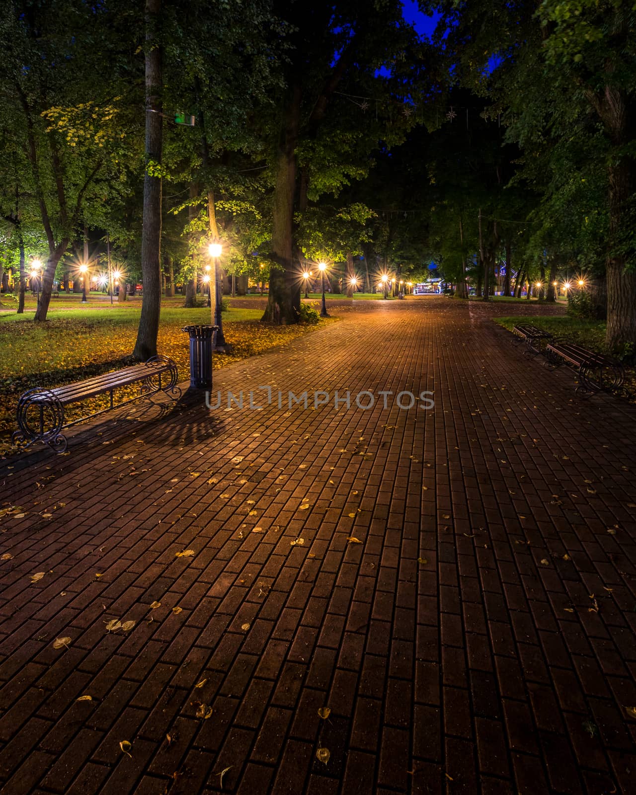 A night park lit by lanterns with a stone pavement, trees, fallen leaves and benches in early autumn. Cityscape.