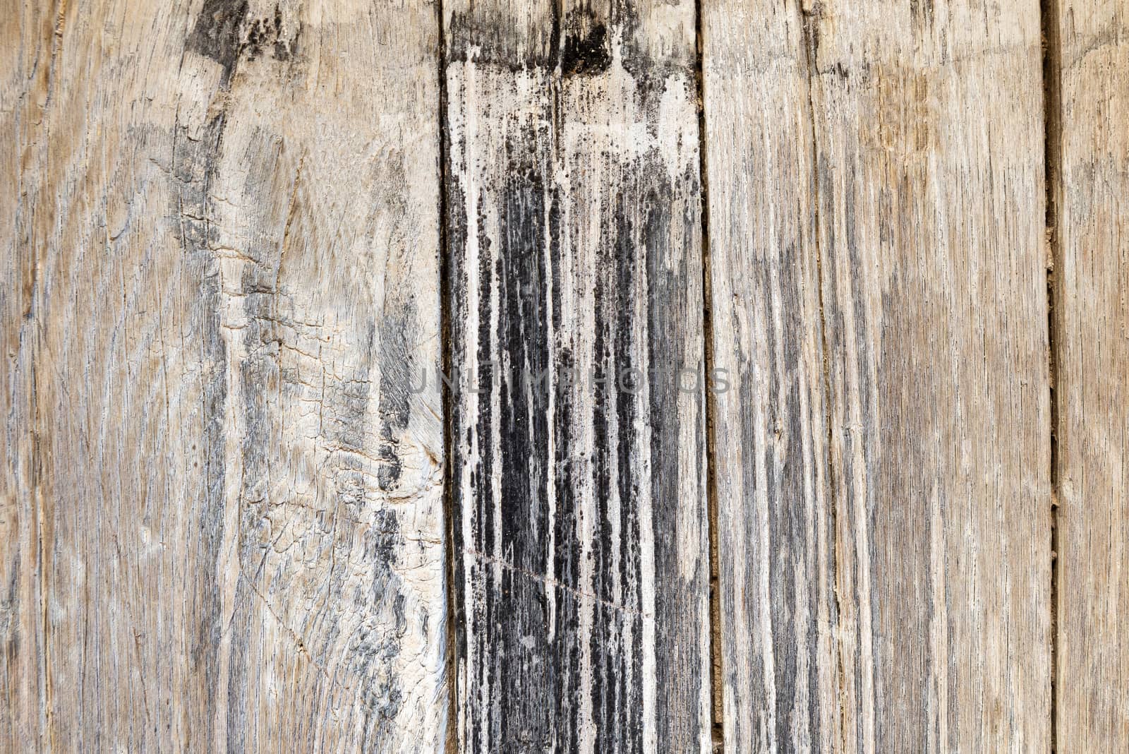 Wood texture background. Surface of old knotted wood with nature color, texture and pattern. by Fotoeventis