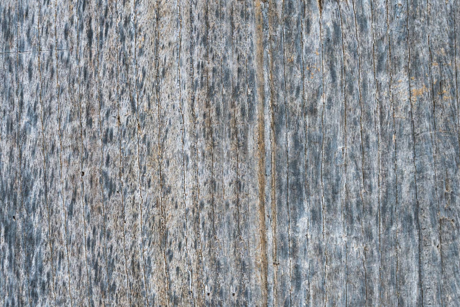 Wood texture background. Surface of old knotted wood with nature color, texture and pattern. by Fotoeventis
