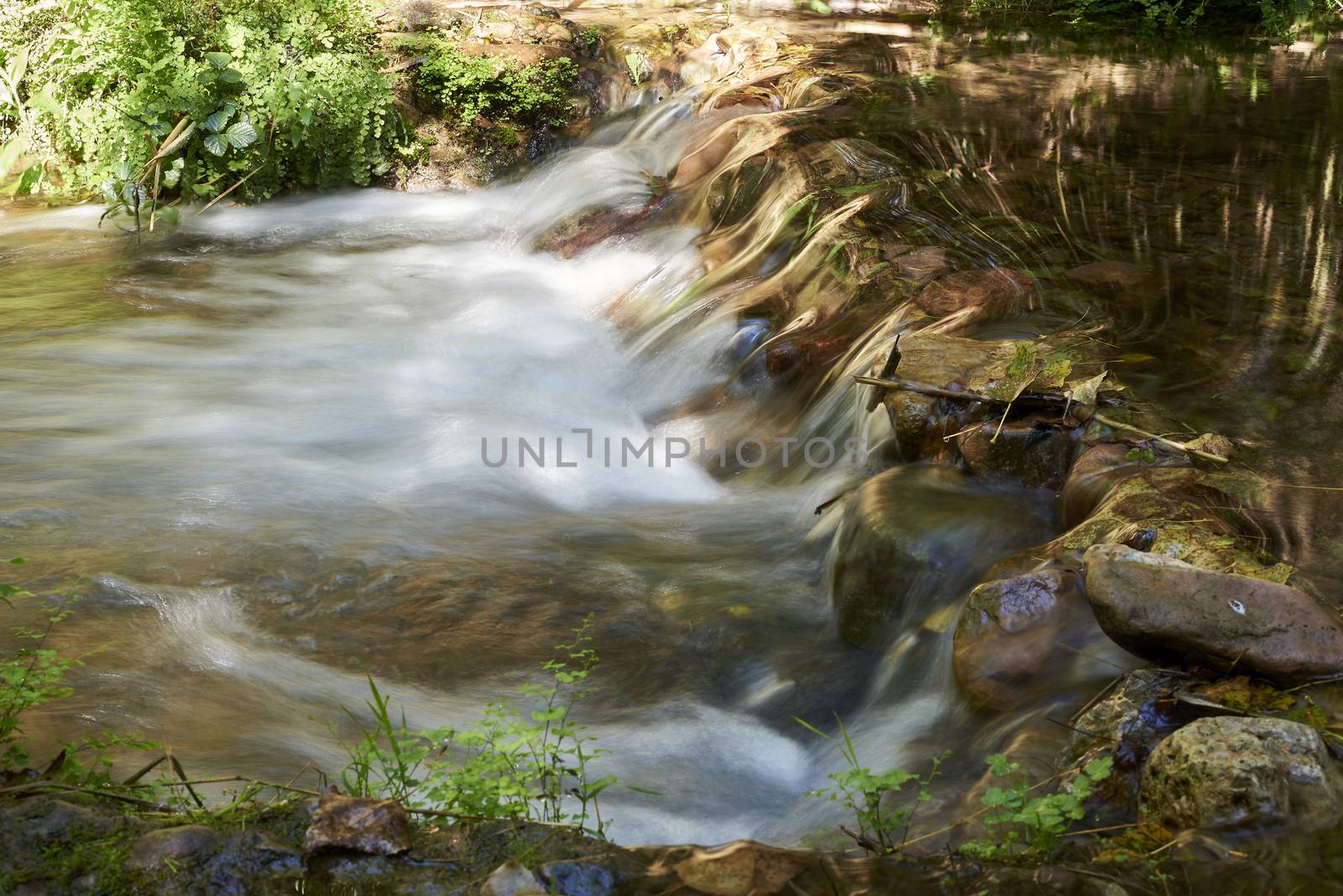 River of transparent waters among the vegetation. idyllic, long exposure