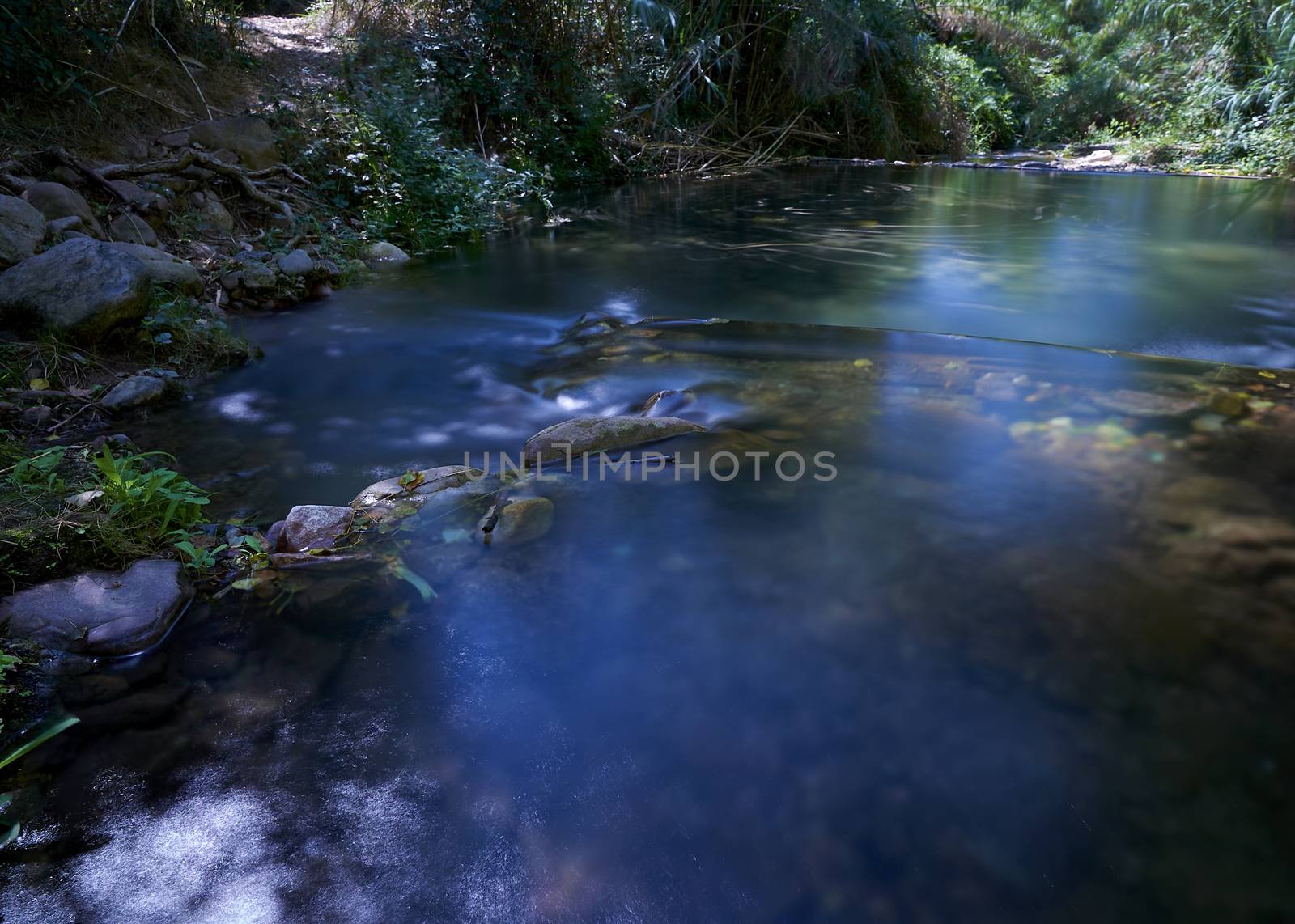 River of transparent waters among the vegetation. idyllic, long exposure