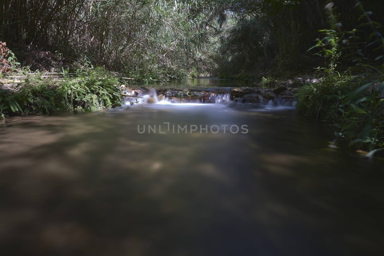 River of transparent waters among the vegetation. idyllic, long exposure