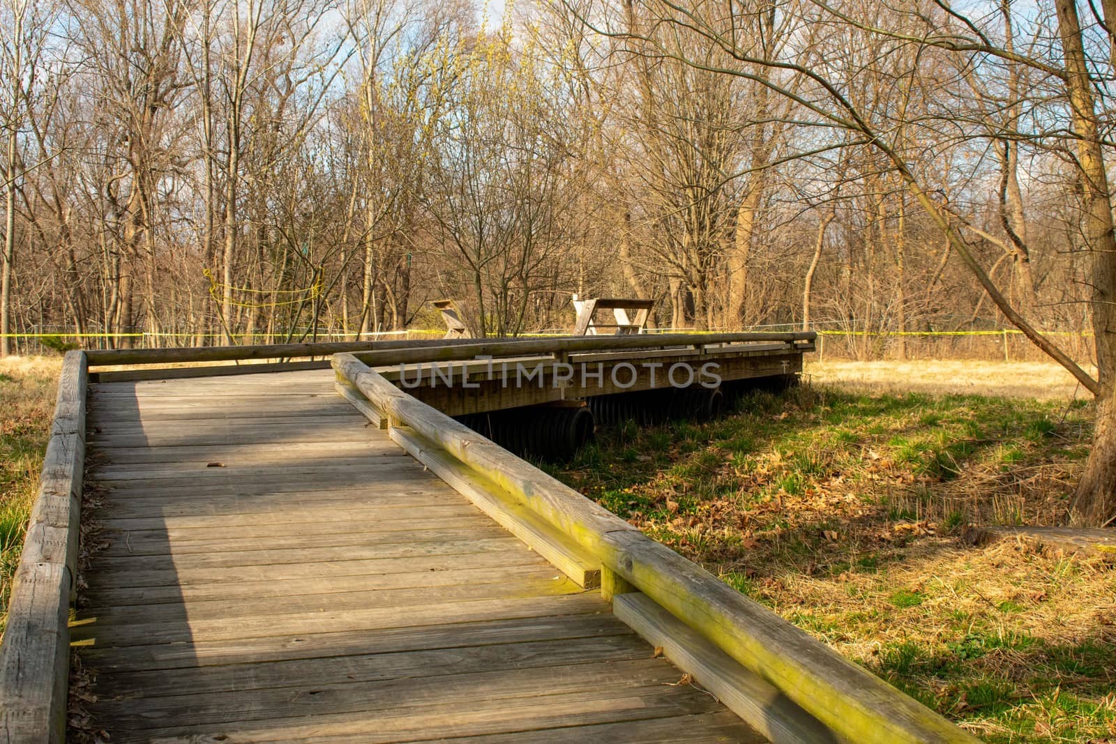 A Wooden Boardwalk in a Park in Suburban Pennsylvania