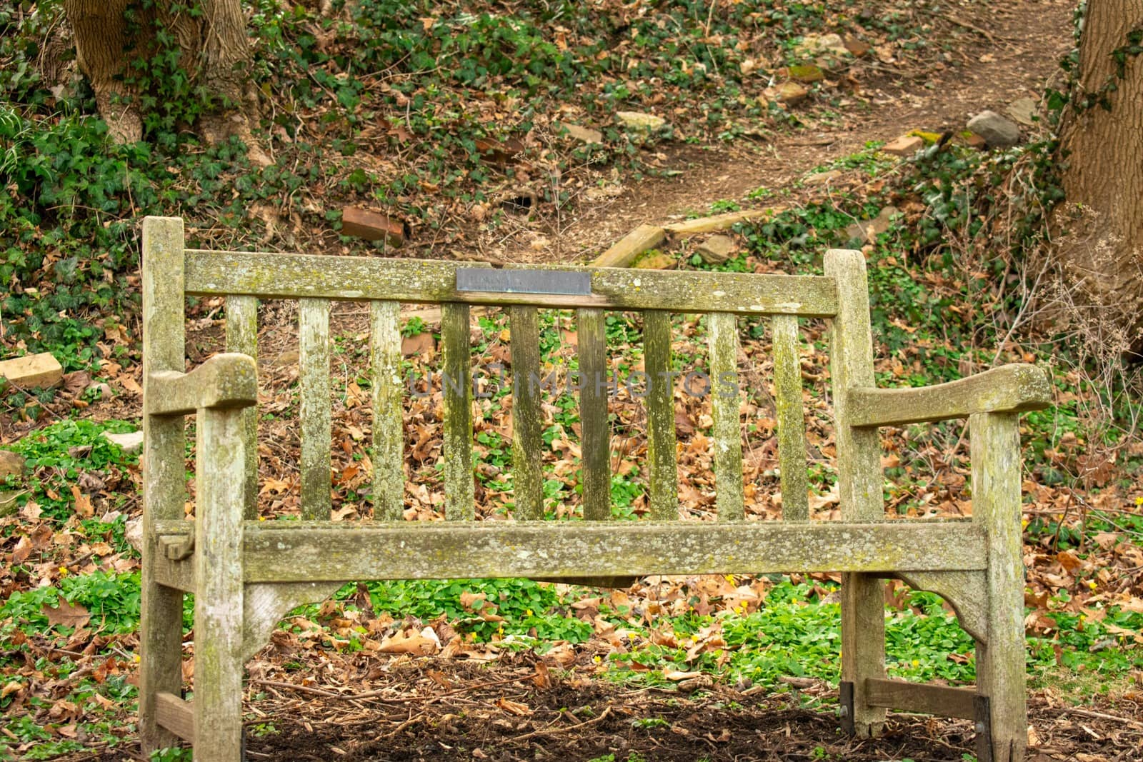 An Old Wooden Park Bench in a Suburban Park in Pennsylvania by bju12290