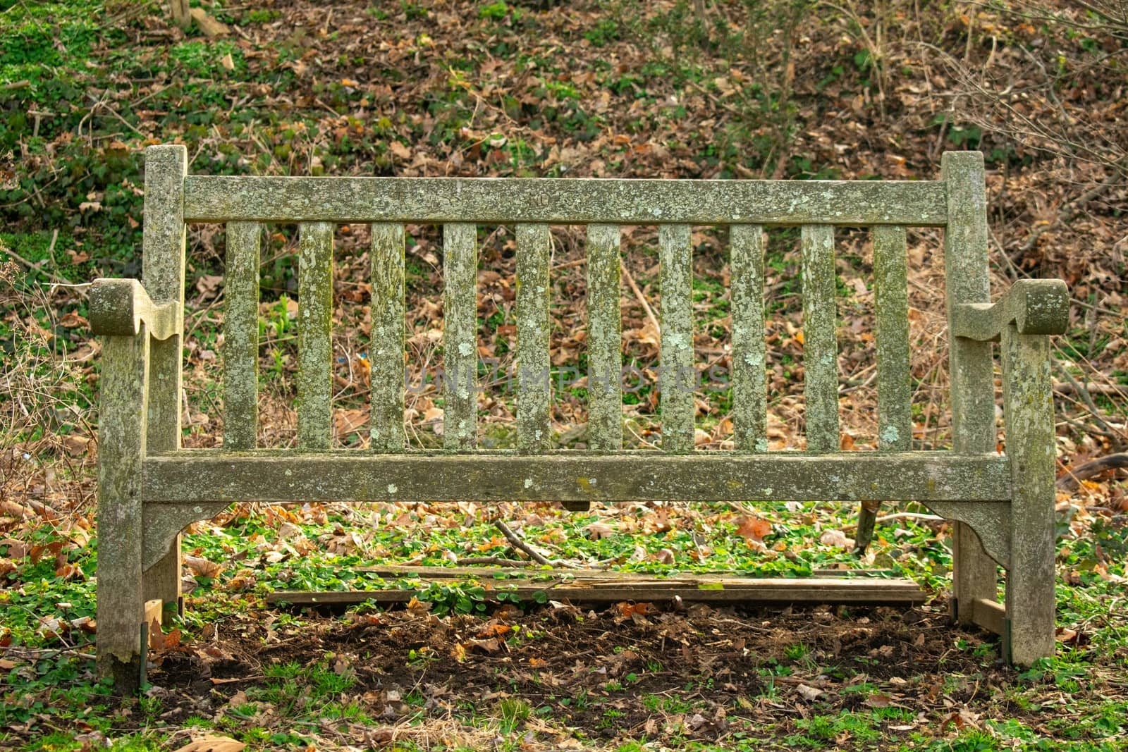 An Old Wooden Park Bench Covered in Moss in a Suburban Park in Pennsylvania