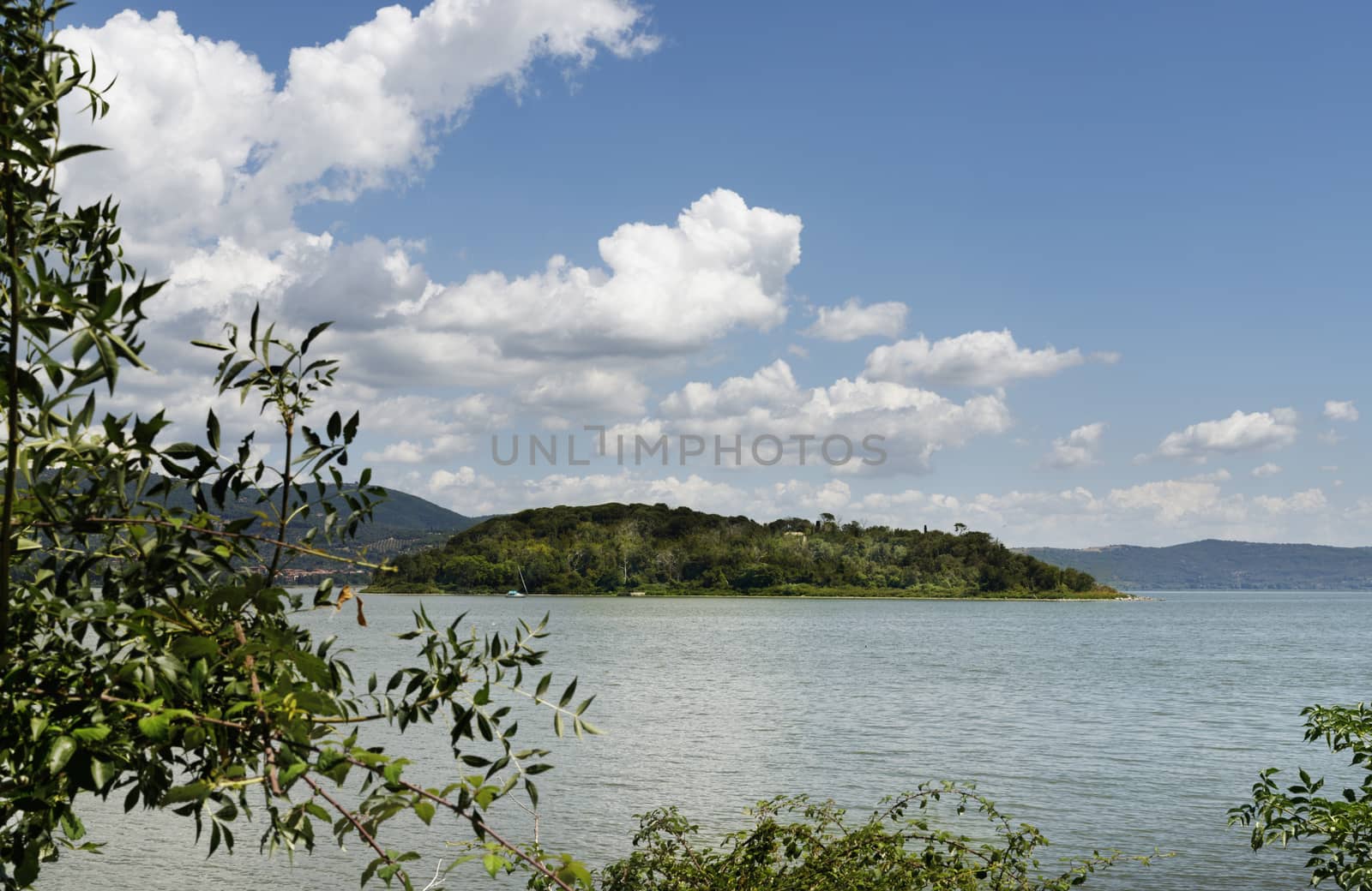Isola Minore -little island -the smallest island of Trasimeno Lake in central Italy view from Isola Maggiore ,covered by woodland with pines and oaks ,