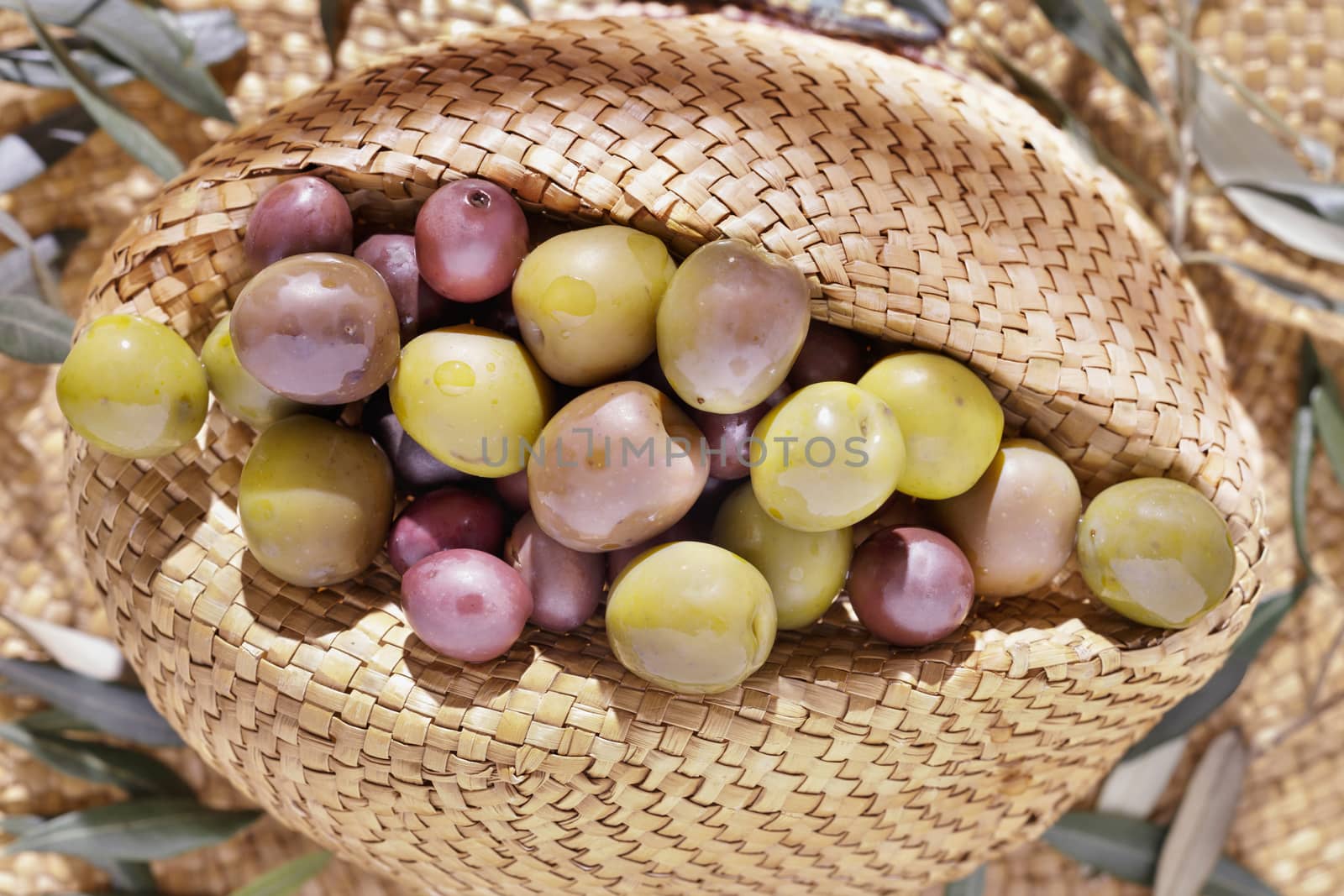 Group of black and green olives on straw hat, green leaves on the background