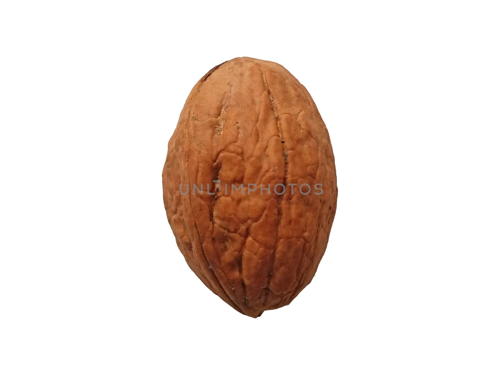 Walnut on white background by Mindru